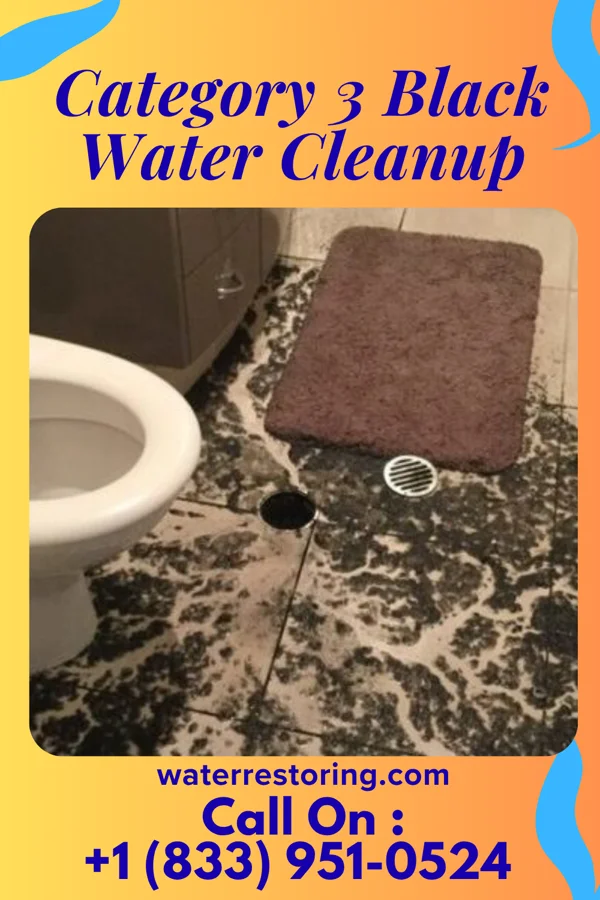 Category 3 Black Water Cleanup in Seguin, TX
