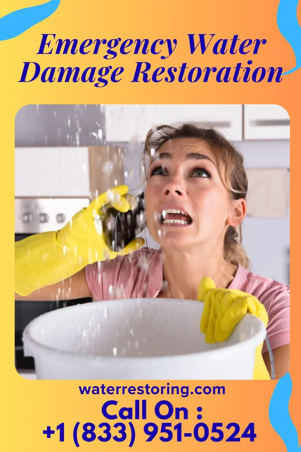 Emergency Water Damage Restoration in Seguin, TX