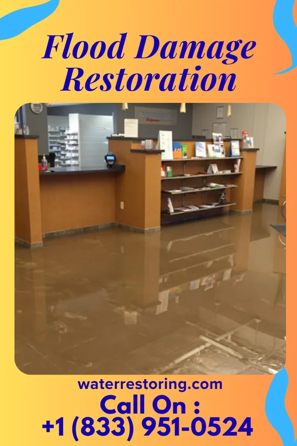 Flood Damage Restoration in Seguin, TX